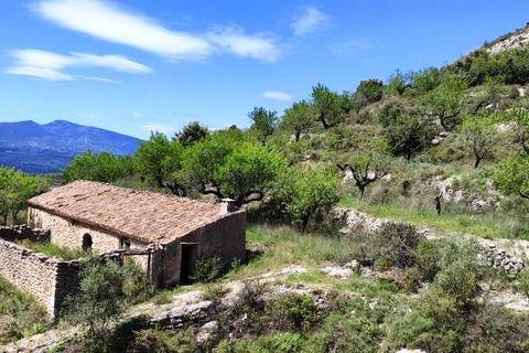 Finca i Benasau, Alicante, Benasau - € 49.000 | Ref: 2803 - foto 22