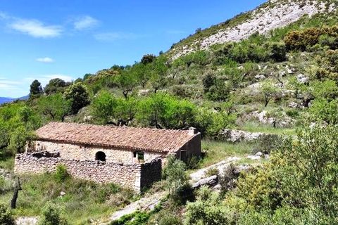 Finca i Benasau, Alicante, Benasau - € 49.000 | Ref: 2803 - foto 23