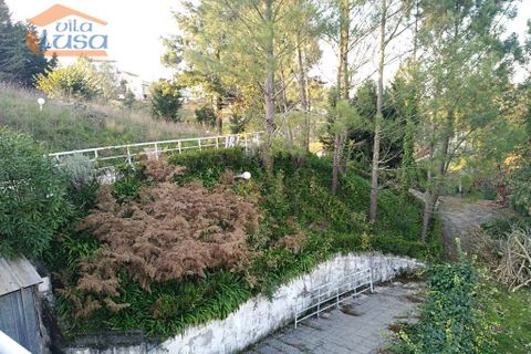 Farm i Paredes, Porto, Paredes - € 447.500 | Ref: 809192072 - foto 21