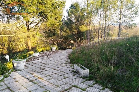 Farm i Paredes, Porto, Paredes - € 447.500 | Ref: 809192072 - foto 23