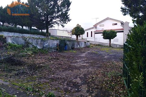 Farm i Paredes, Porto, Paredes - € 447.500 | Ref: 809192072 - foto 28