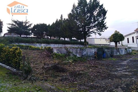 Farm i Paredes, Porto, Paredes - € 447.500 | Ref: 809192072 - foto 29
