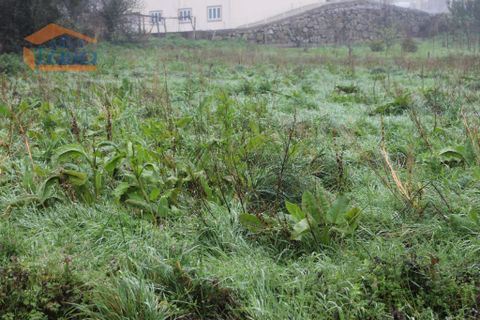 Helårsgrund i Paredes, Porto, Paredes - € 45.000 | Ref: 8092006011 - foto 3