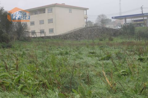 Helårsgrund i Paredes, Porto, Paredes - € 45.000 | Ref: 8092006011 - foto 5