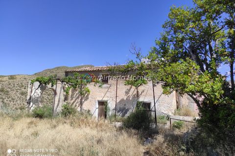Landejendom i Lucar, Almeria, Lucar - € 72.000 | Ref: IX-12671 - foto 22