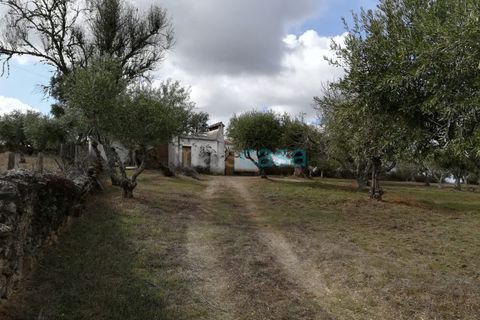 Helårsgrund i Nisa, Portalegre, Nisa - € 60.000 | Ref: TER_2719 - foto 1