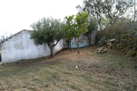 Helårsgrund i Nisa, Portalegre, Nisa - € 60.000 | Ref: TER_2719 - foto 2