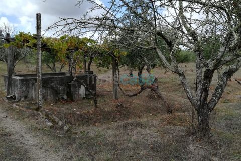 Helårsgrund i Nisa, Portalegre, Nisa - € 60.000 | Ref: TER_2719 - foto 3
