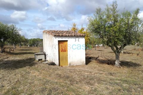 Helårsgrund i Nisa, Portalegre, Nisa - € 60.000 | Ref: TER_2719 - foto 6