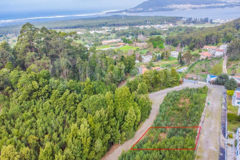 Helårsgrund i Caminha, Viana do Castelo, Caminha - € 47.500 | Ref: 1947 - foto 3