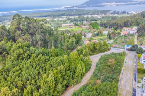 Helårsgrund i Caminha, Viana do Castelo, Caminha - € 47.500 | Ref: 1947 - foto 4