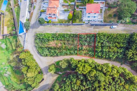 Helårsgrund i Caminha, Viana do Castelo, Caminha - € 47.500 | Ref: 1947 - foto 6