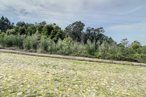 Helårsgrund i Caminha, Viana do Castelo, Caminha - € 47.500 | Ref: 1947 - foto 8