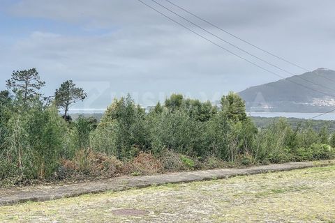 Helårsgrund i Caminha, Viana do Castelo, Caminha - € 47.500 | Ref: 1947 - foto 11