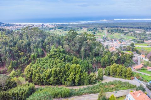 Helårsgrund i Caminha, Viana do Castelo, Caminha - € 47.500 | Ref: 1947 - foto 12