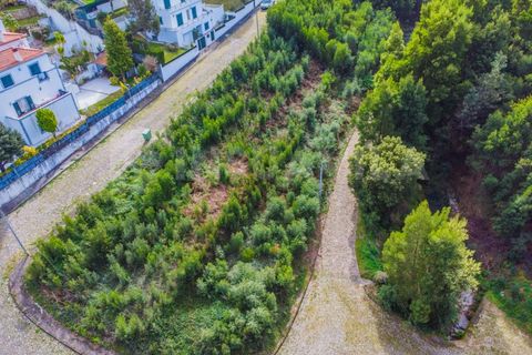 Helårsgrund i Caminha, Viana do Castelo, Caminha - € 47.500 | Ref: 1947 - foto 13