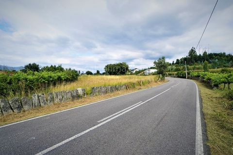 Helårsgrund i Bela, Viana do Castelo, Bela - € 85.000 | Ref: 3708 - foto 2