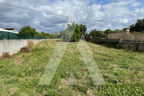 Helårsgrund i Anadia, Aveiro, Anadia - € 59.000 | Ref: 1050745/21 OB - foto 2