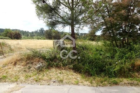 Helårsgrund i Viseu, Viseu, Viseu - € 150.000 | Ref: 353/T/01632 - foto 7
