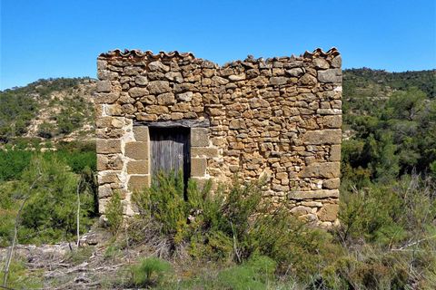 Finca i Maella, Zaragoza, Maella - € 17.500 | Ref: 0725 - foto 10
