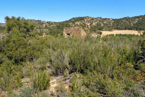 Finca i Maella, Zaragoza, Maella - € 17.500 | Ref: 0725 - foto 9