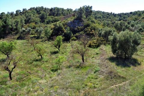 Finca i Maella, Zaragoza, Maella - € 17.500 | Ref: 0725 - foto 15