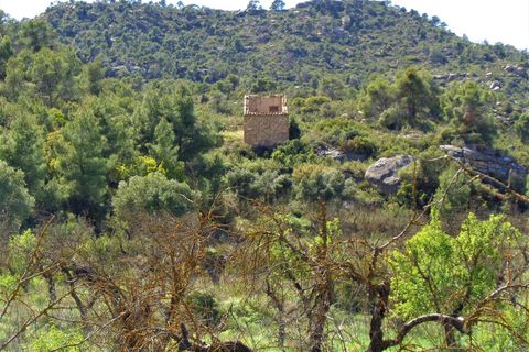Finca i Maella, Zaragoza, Maella - € 17.500 | Ref: 0725 - foto 18