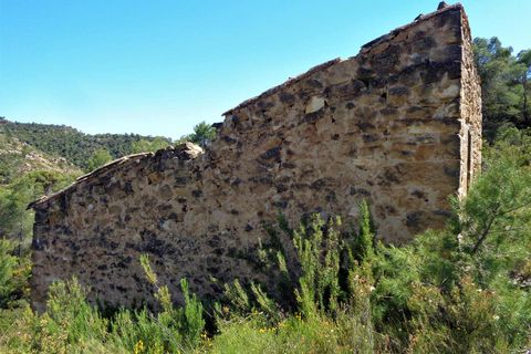 Finca i Maella, Zaragoza, Maella - € 17.500 | Ref: 0725 - foto 13