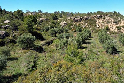 Finca i Maella, Zaragoza, Maella - € 17.500 | Ref: 0725 - foto 7