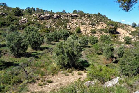 Finca i Maella, Zaragoza, Maella - € 17.500 | Ref: 0725 - foto 8