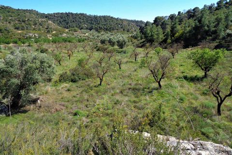 Finca i Maella, Zaragoza, Maella - € 17.500 | Ref: 0725 - foto 14