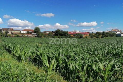 Helårsgrund i Braga, Braga, Braga - € 33.000 | Ref: ZMPT545708 - foto 5