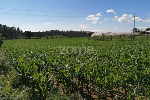 Helårsgrund i Braga, Braga, Braga - € 33.000 | Ref: ZMPT545708 - foto 6