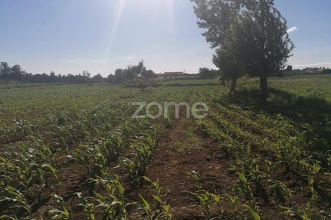 Helårsgrund i Braga, Braga, Braga - € 33.000 | Ref: ZMPT545708 - foto 9