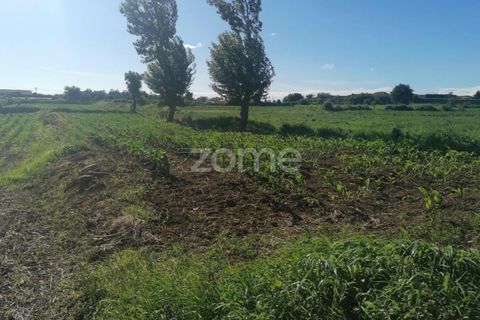 Helårsgrund i Braga, Braga, Braga - € 33.000 | Ref: ZMPT545708 - foto 10
