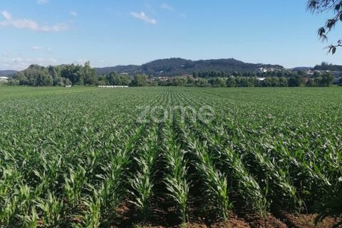 Helårsgrund i Braga, Braga, Braga - € 33.000 | Ref: ZMPT545708 - foto 12