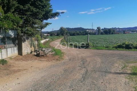 Helårsgrund i Braga, Braga, Braga - € 31.000 | Ref: ZMPT545711 - foto 3
