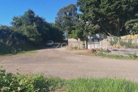 Helårsgrund i Braga, Braga, Braga - € 31.000 | Ref: ZMPT545711 - foto 4