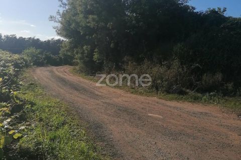 Helårsgrund i Braga, Braga, Braga - € 31.000 | Ref: ZMPT545711 - foto 5