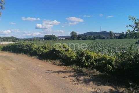 Helårsgrund i Braga, Braga, Braga - € 31.000 | Ref: ZMPT545711 - foto 1