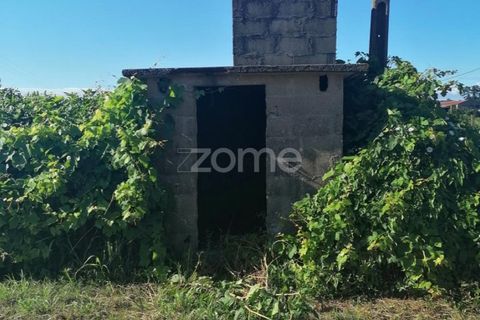 Helårsgrund i Braga, Braga, Braga - € 31.000 | Ref: ZMPT545711 - foto 9