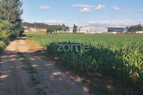 Helårsgrund i Braga, Braga, Braga - € 31.000 | Ref: ZMPT545711 - foto 12