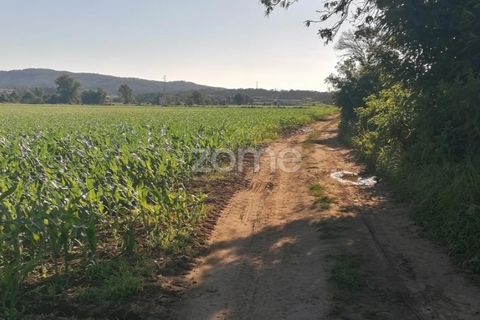 Helårsgrund i Braga, Braga, Braga - € 31.000 | Ref: ZMPT545711 - foto 14
