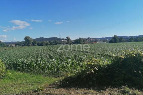 Helårsgrund i Braga, Braga, Braga - € 31.000 | Ref: ZMPT545711 - foto 6