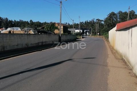 Helårsgrund i Braga, Braga, Braga - € 30.000 | Ref: ZMPT545705 - foto 5