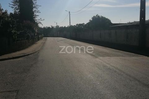 Helårsgrund i Braga, Braga, Braga - € 30.000 | Ref: ZMPT545705 - foto 6