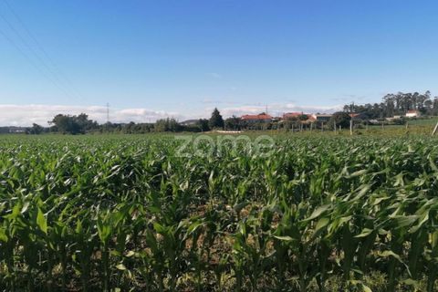 Helårsgrund i Braga, Braga, Braga - € 30.000 | Ref: ZMPT545705 - foto 7