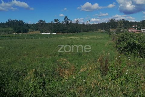 Helårsgrund i Braga, Braga, Braga - € 30.000 | Ref: ZMPT545705 - foto 13