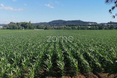 Helårsgrund i Braga, Braga, Braga - € 30.000 | Ref: ZMPT545705 - foto 2