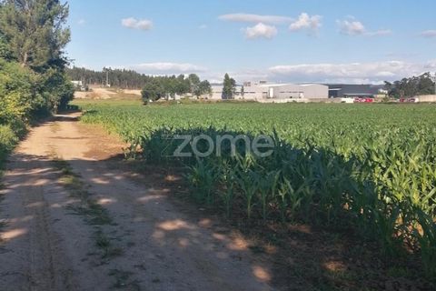 Grond in Braga, Braga, Braga - € 30.000 | Ref: ZMPT545705 - foto 8